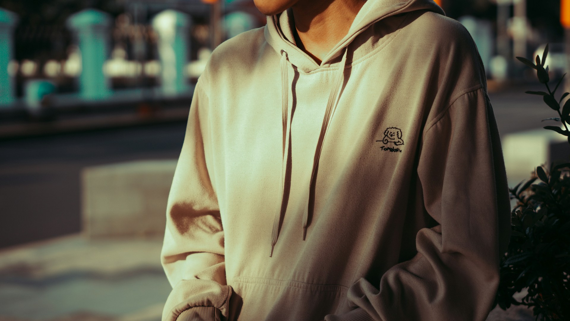 Hoodies